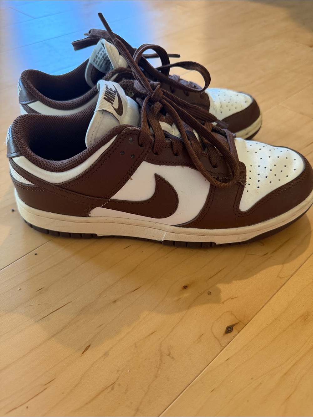 Nike Brown and White Dunks